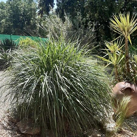 Le Calme De La Garrigue Bed & Breakfast Russan ภายนอก รูปภาพ