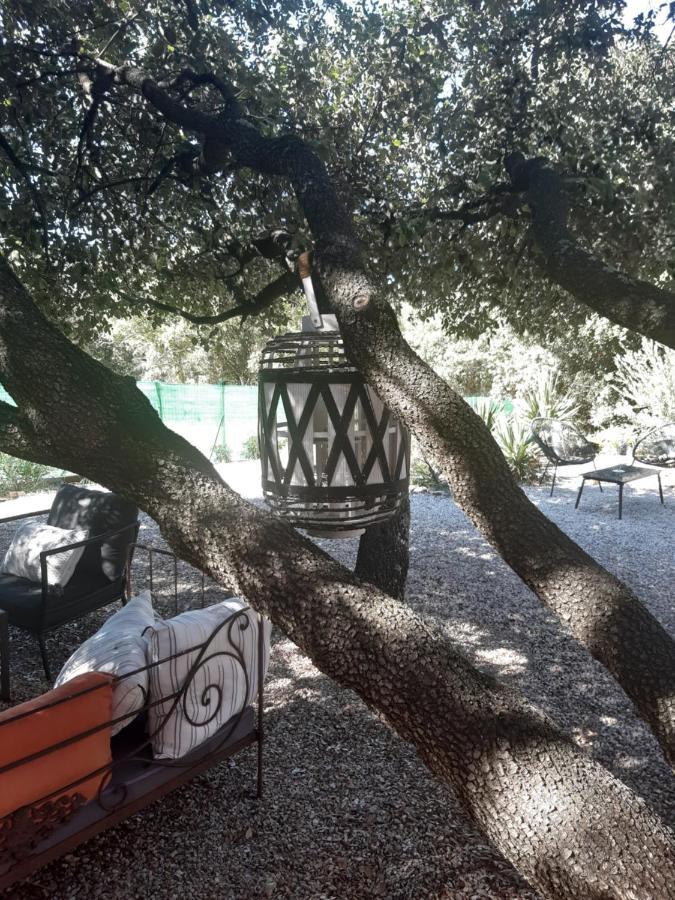 Le Calme De La Garrigue Bed & Breakfast Russan ภายนอก รูปภาพ