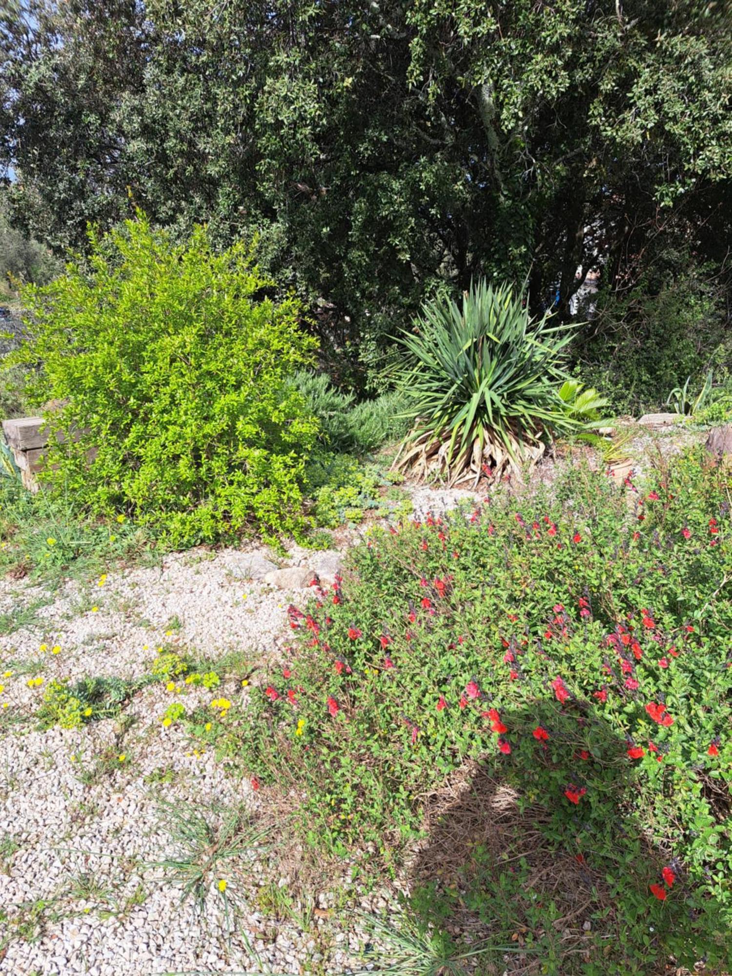 Le Calme De La Garrigue Bed & Breakfast Russan ภายนอก รูปภาพ
